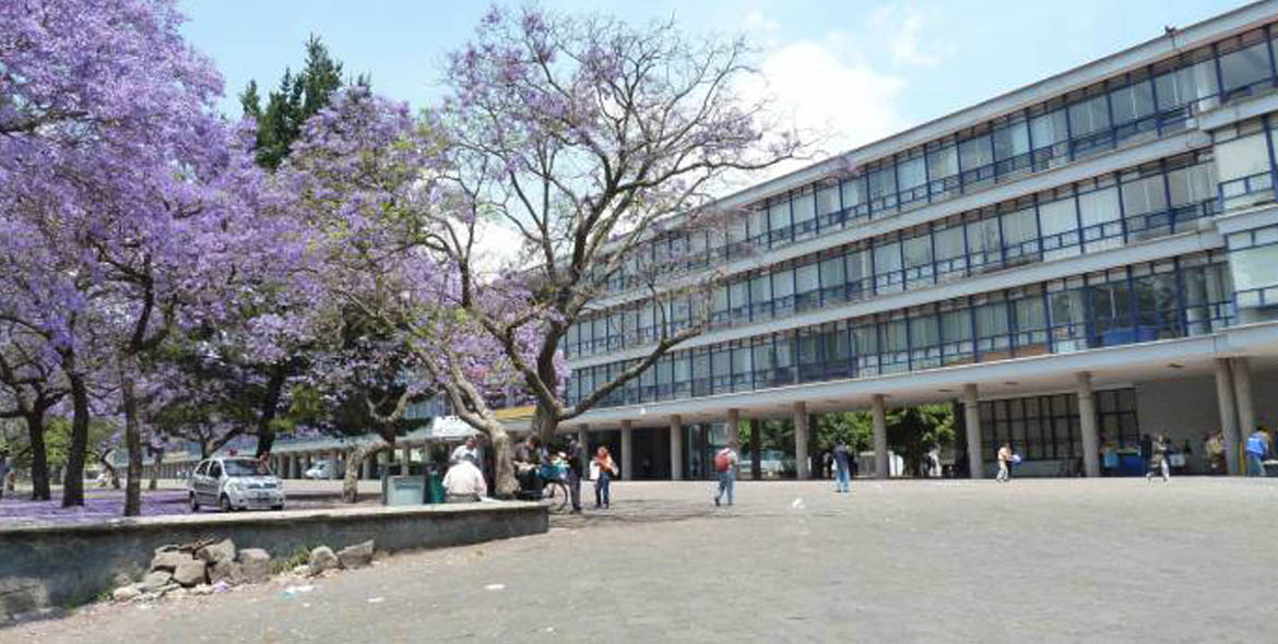 Matan y entierran a maestro de la UNAM en su propio patio