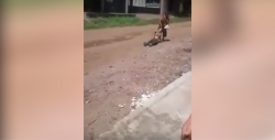 VIDEO: Arrastra por la calle a hija discapacitada