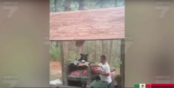 VIDEO: Pelean con oso por un pedazo de carne