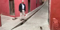 AMLO Comparte video persiguiendo a paloma