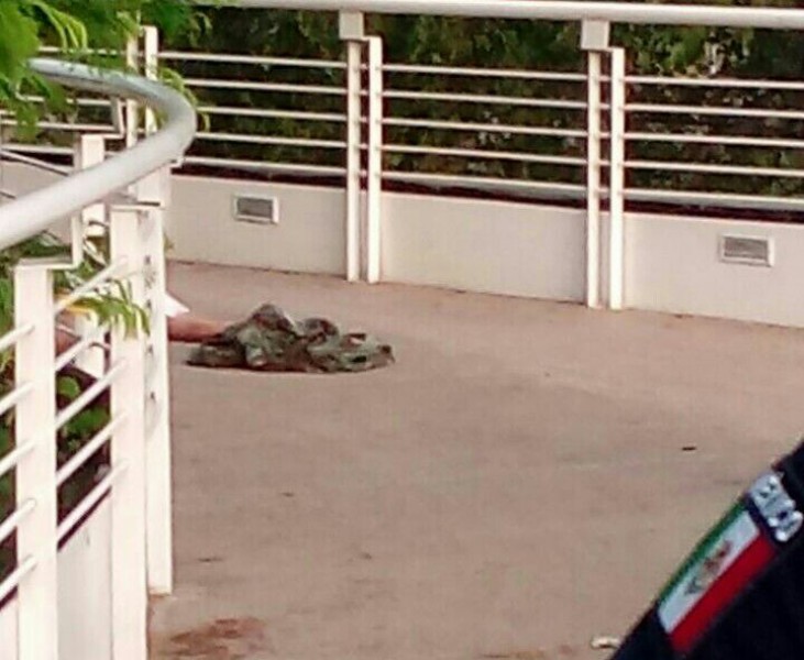 Asesinan a una persona en el puente de la ciclovía de Paseo Niños Héroes