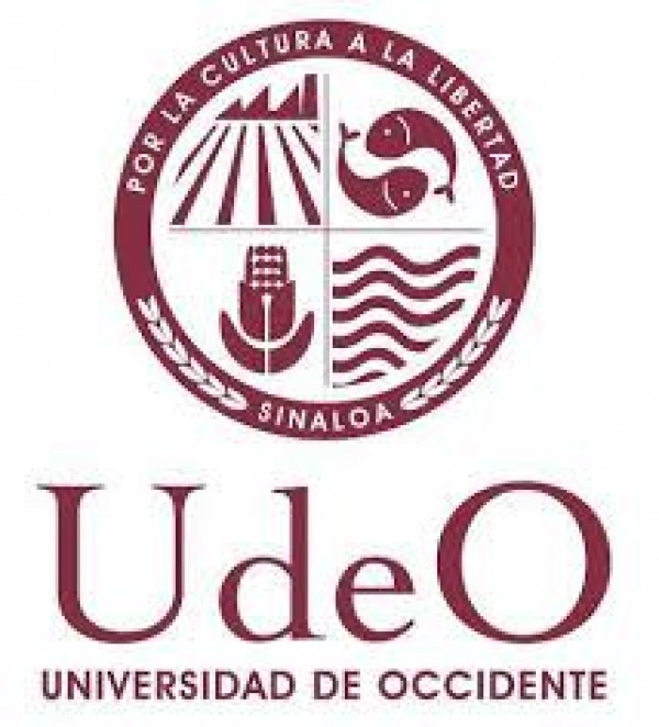 Concretan exitosamente estancias ejecutivas profesionistas de la U de O.