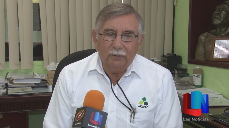 Benéfica la lluvia para cultivo de soya