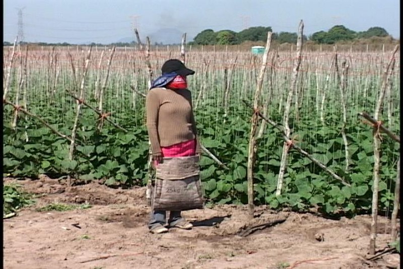 SEDESOL lleva apoyos a familias migrantes.
