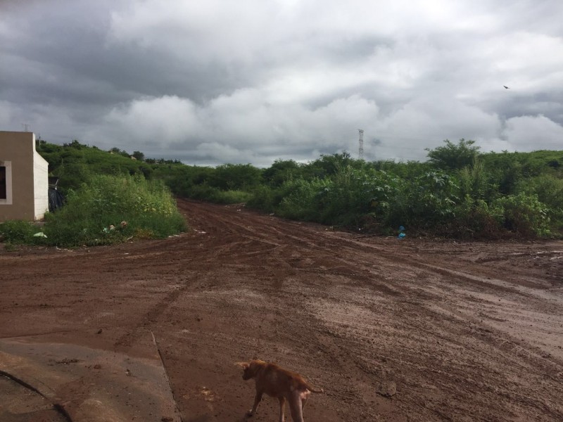 Complicado el ingreso a la colonia Bicentenario