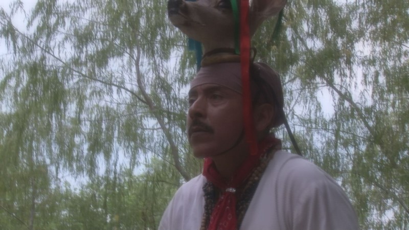 Danza del venado