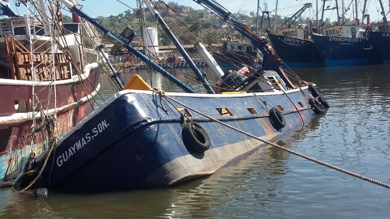 Impactadas embarcaciones camaroneras