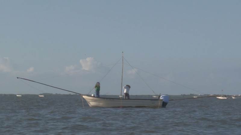 Pescadores ribereños inician capturas sin los motores marinos nuevos