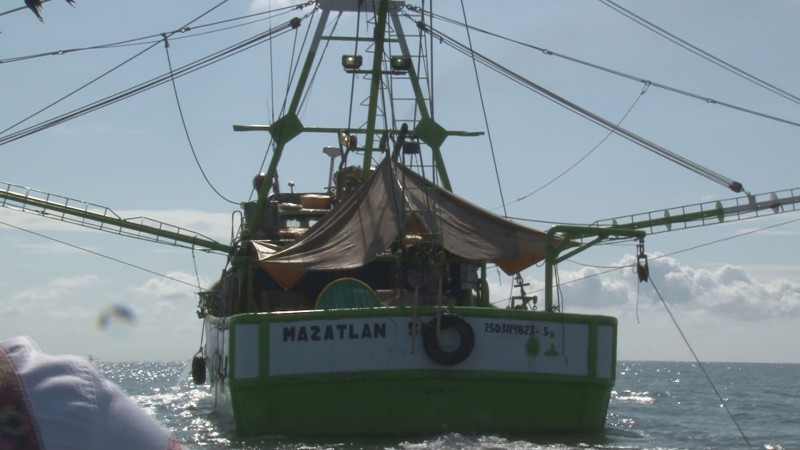Irregulares capturas , en el arranque de la temporada de camarón en altamar