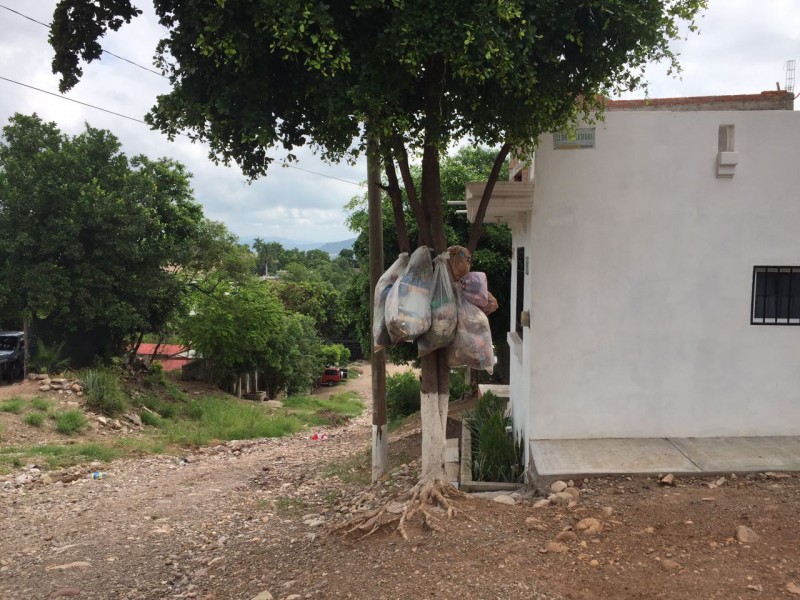 Continúa deficiente la recolección de basura