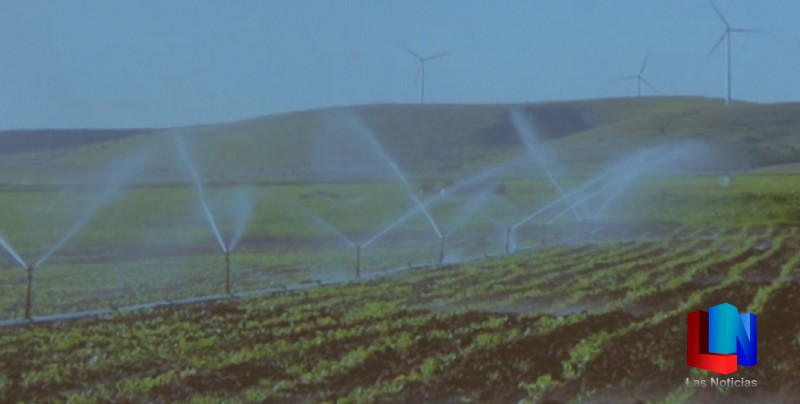 Productores agrícolas preocupados por el recorte