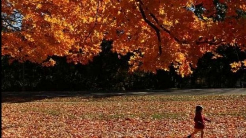Inicia el otoño en México