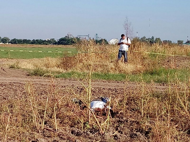 Encuentran ejecutado a joven en Navolato