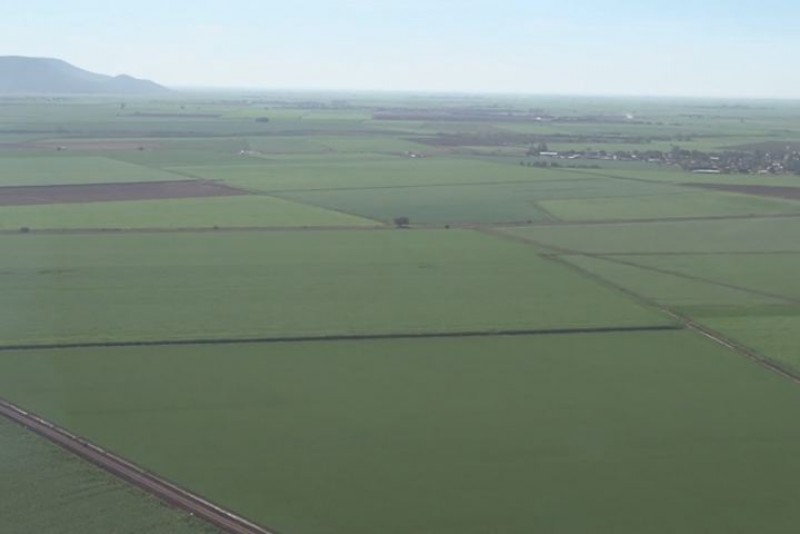 Riesgo de colapso, producir 7 millones de toneladas de maiz