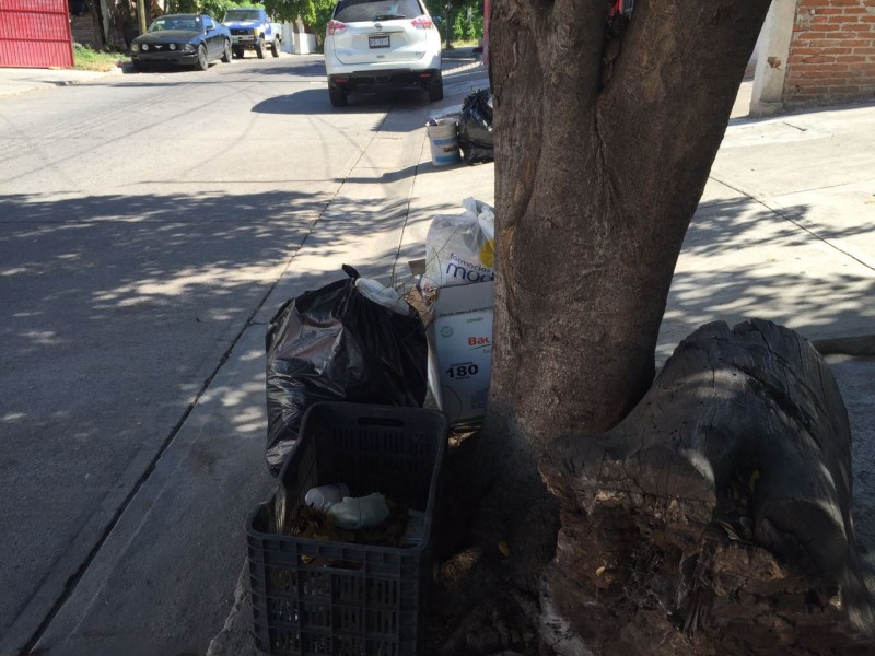 Sin recolección de basura en Los Pinos y Nuevo Culiacán