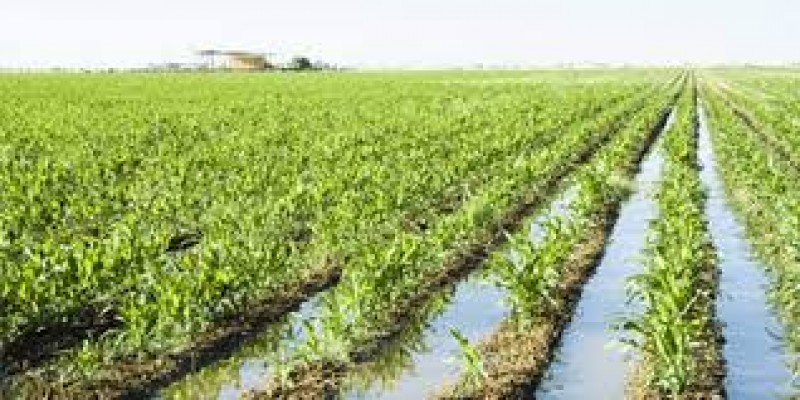 Hay suficiente agua para el próximo ciclo