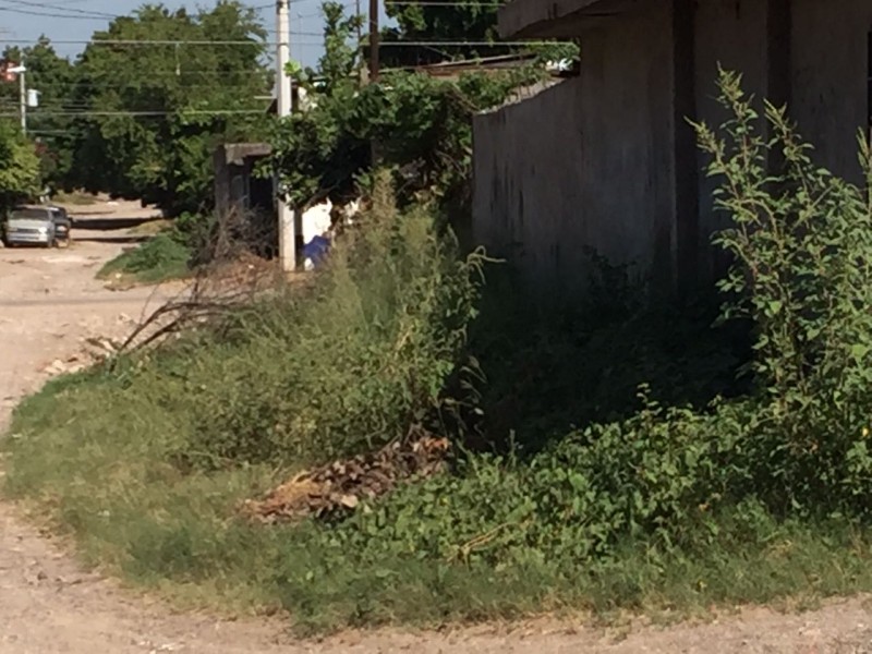 Con maleza  y en malas condiciones  la calle Ruíz Cortinez