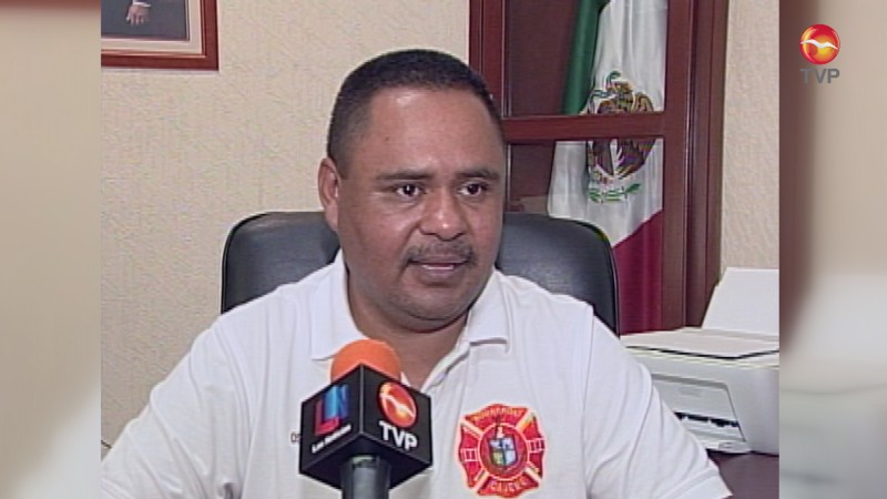 Atacan abejas en Panteón.