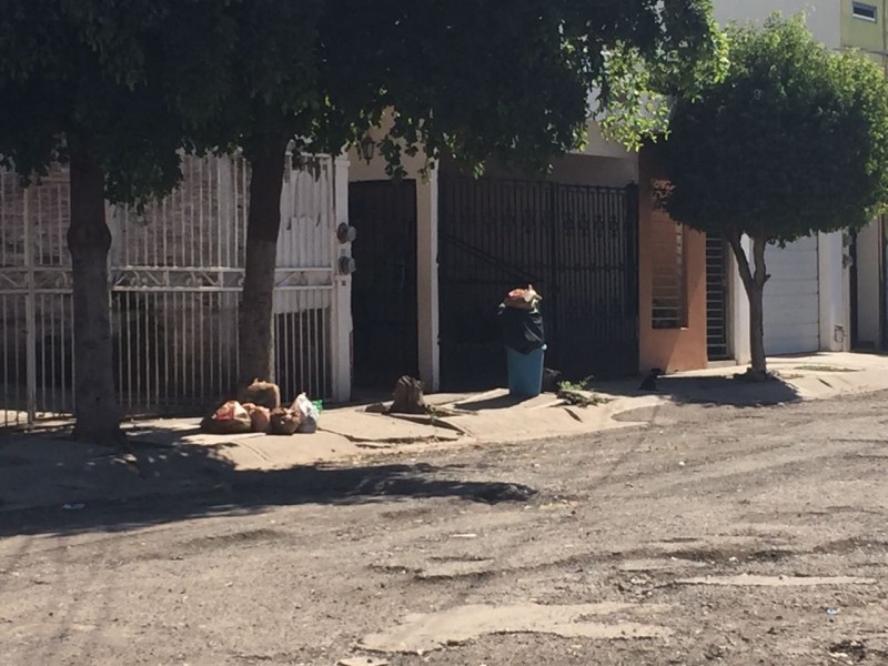 No pasa el camión de basura por  Villas del Real