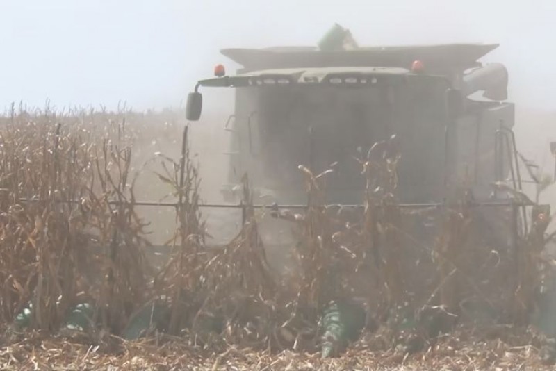 Cumplen los diputados con el presupuesto a productores del campo