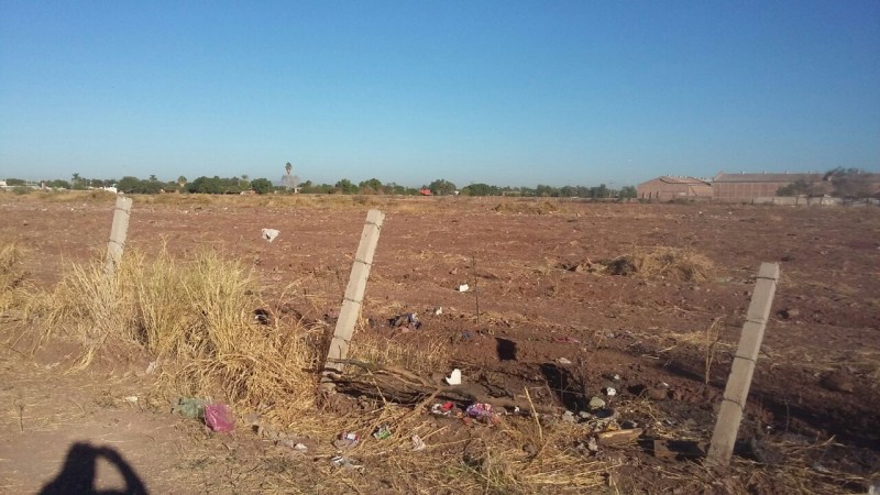 Por fin limpiaron baldío enmontado