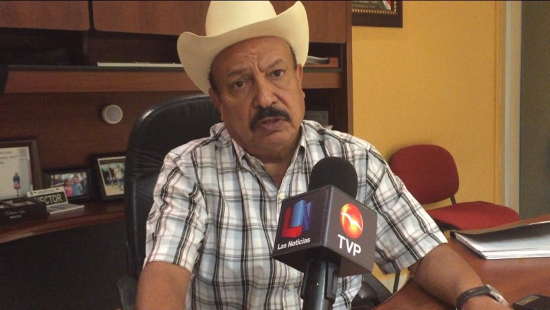 Estiman una producción de frijol por debajo de las 100 mil toneladas