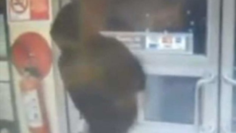 Roba tienda de conveniencia en 8 minutos