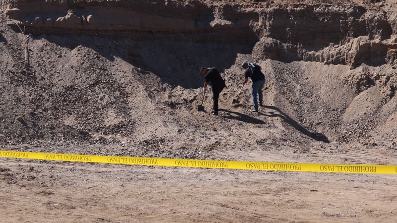 Fueron 4 osamentas las encontradas en culiacancito