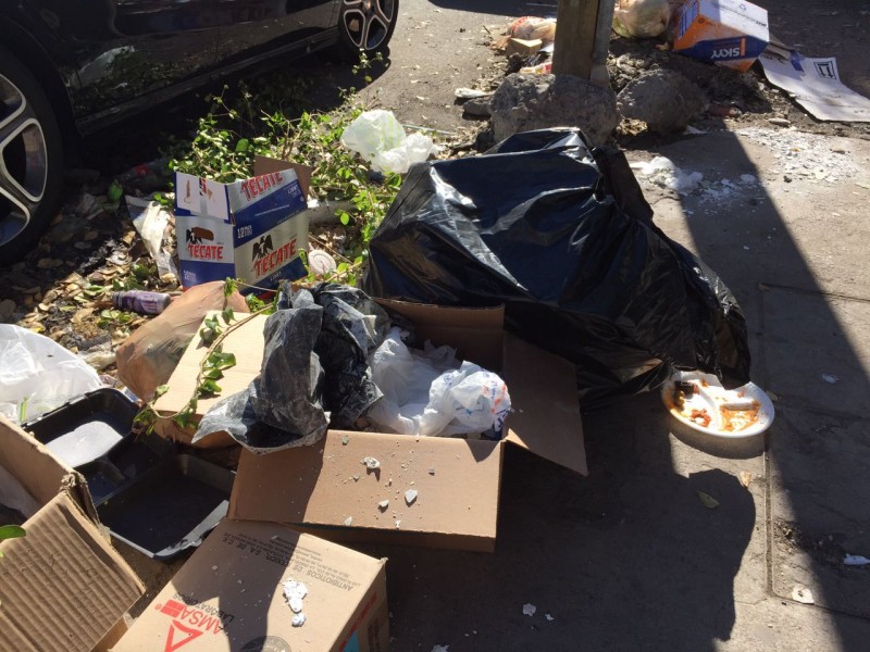 Basura, cartones y ramas en la Col. Rosales