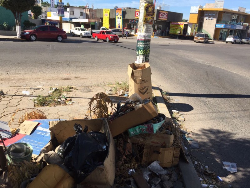 Sigue la basura en Cañadas