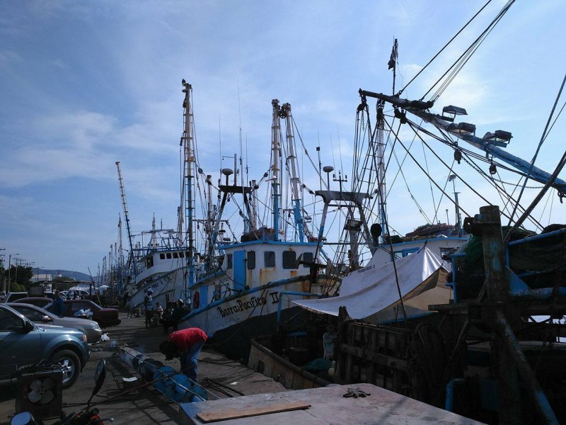 Atracan pescadores en puerto para pasar fiestas navideñas en casa