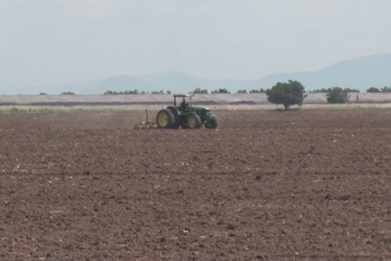 Exigirán productores un subisidio para todos los agricultores