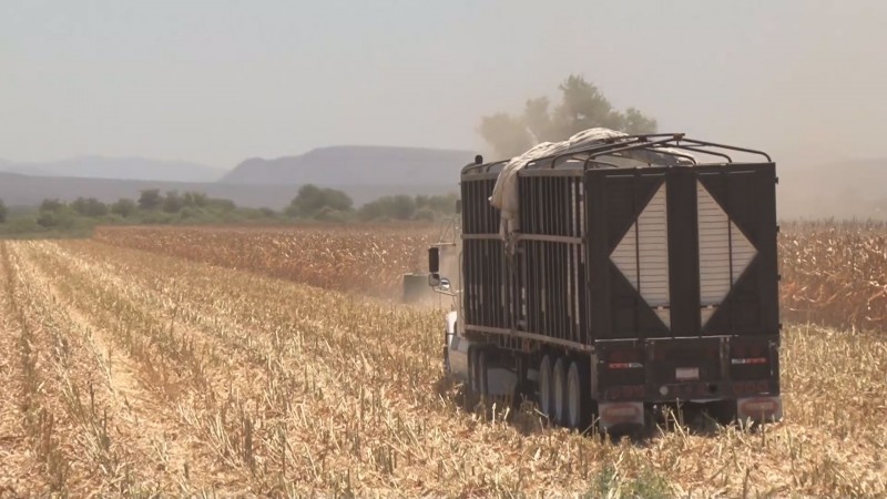 SAGARPA busca subsidiar gasolina al agro y creación de centros de acopio