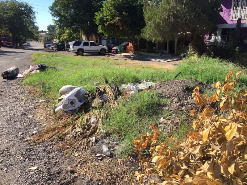 Piden limpieza  de calle en la  Ignacio Allende