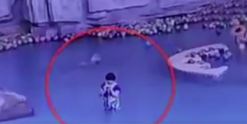 VIDEO FUERTE: Niño se ahoga en piscina mientras su madre esta en el teléfono