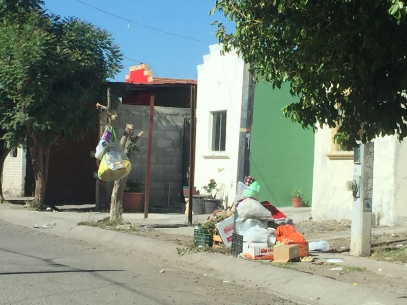 Desde hace 5 días no pasa el camión de la basura