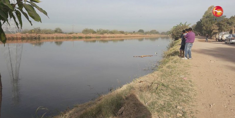 Auto cae a canal.