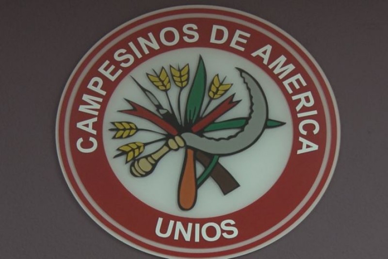 Piden Transportistas de la CNC, regular el pirataje