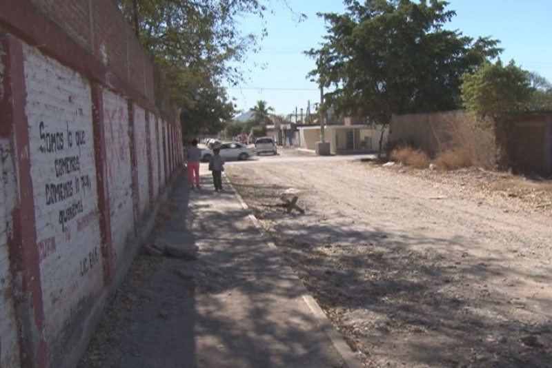Mal la calle y además queman pinitos