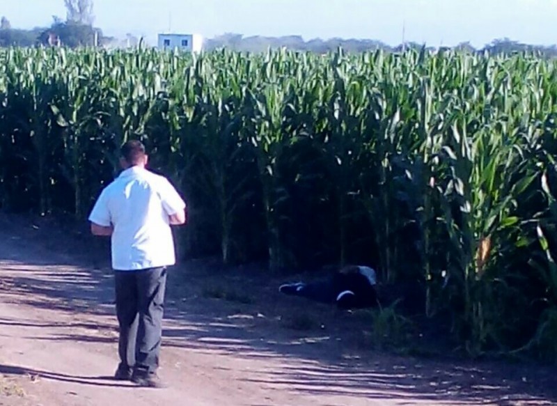 Encuentran a un hombre asesinado a balazos dentro de una parcela