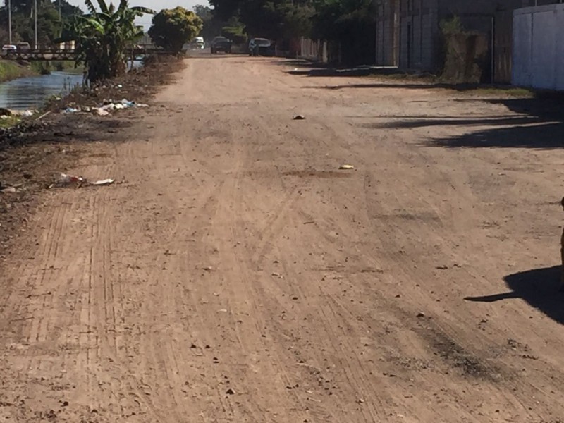 Piden pipas para regar calles en San Pedro Navolato