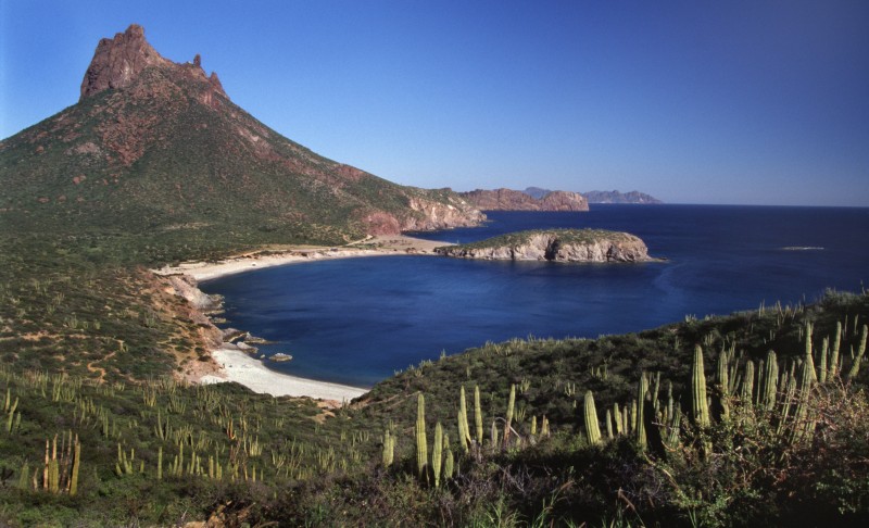 Ecología limpiará la playa Piedras Pintas
