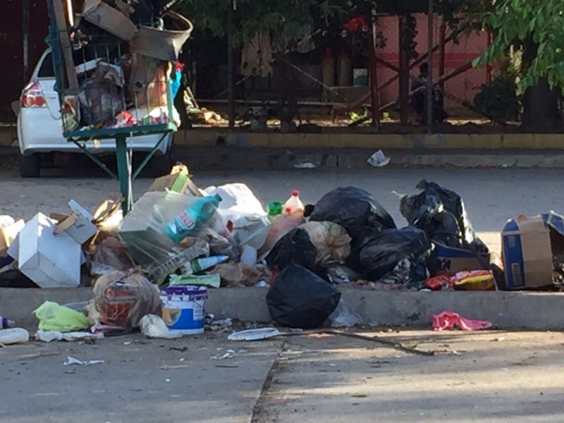 Siguen las acumulaciones de basura en Infonavit Las Flores
