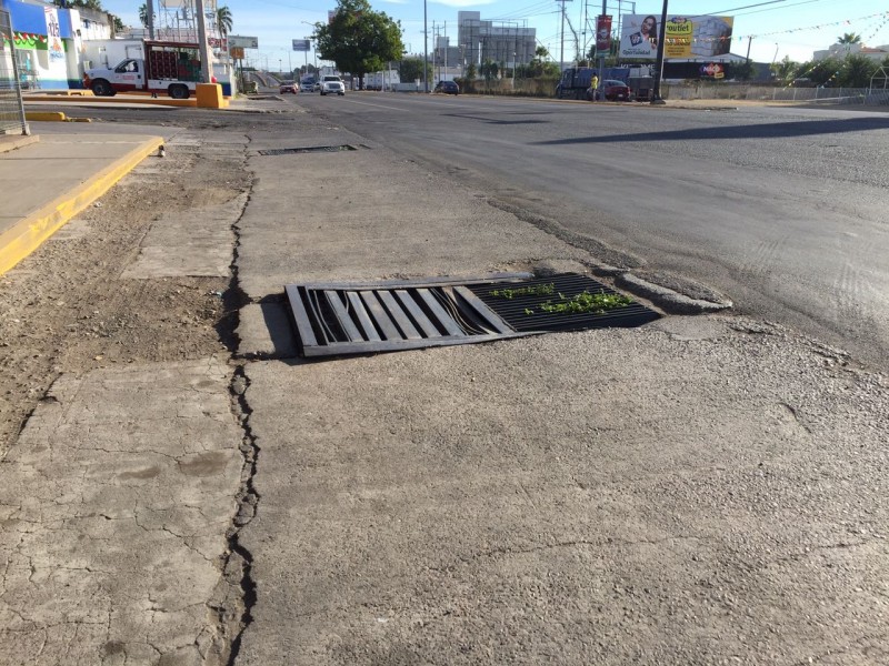 Problemas en rejillas de algunas alcantarillas por Zapata