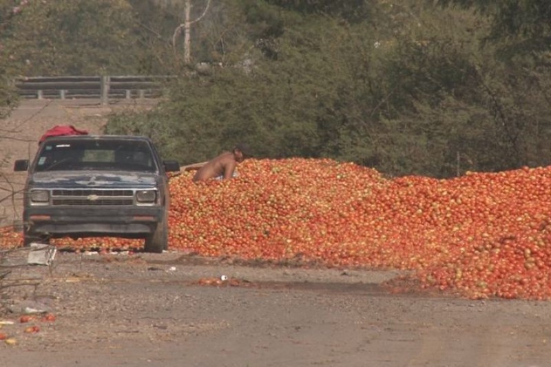 Tiradero de tomate si puede generar problemas sanitarios