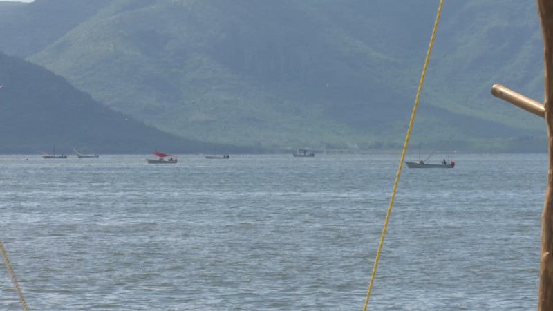 Levanta SS veda de moluscos bivalvos de Huatabampo hasta Bahía de Kino