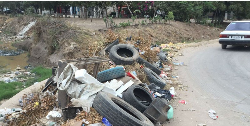Se acumula la basura en Rincón del Parque