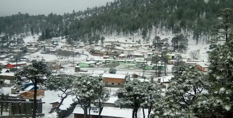 Se registran nevadas en 7 municipios de Durango