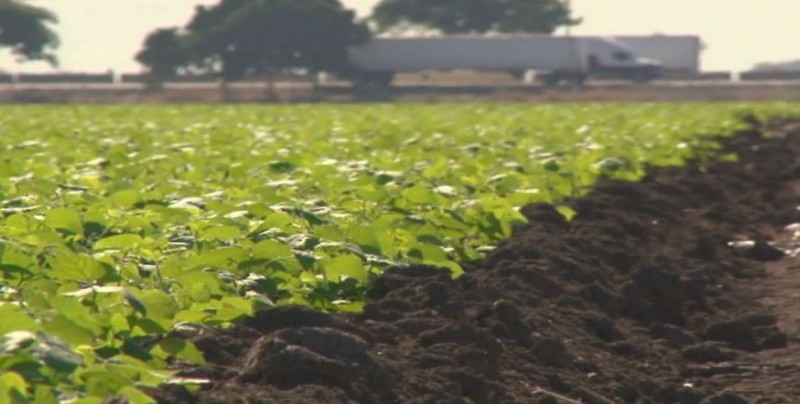 Ya empezaron a caer los primeros recursos a productores