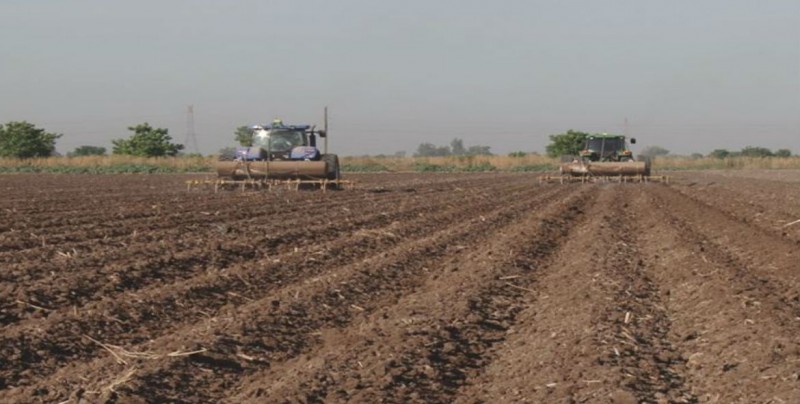 Inconformidad por trato indigno a productores agrícolas
